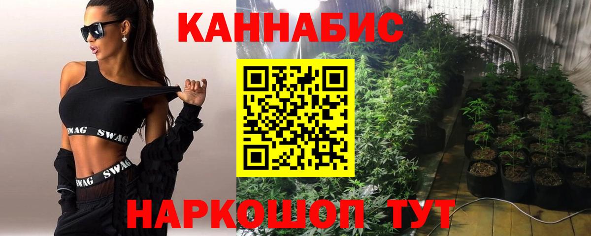 Конопля марихуана Рыбинск
